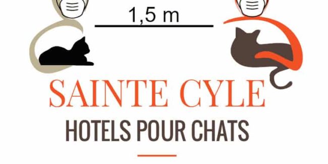 Logo pour le respect des règles sanitaires - Chatterie Saint Cyle