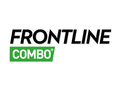 frontline
