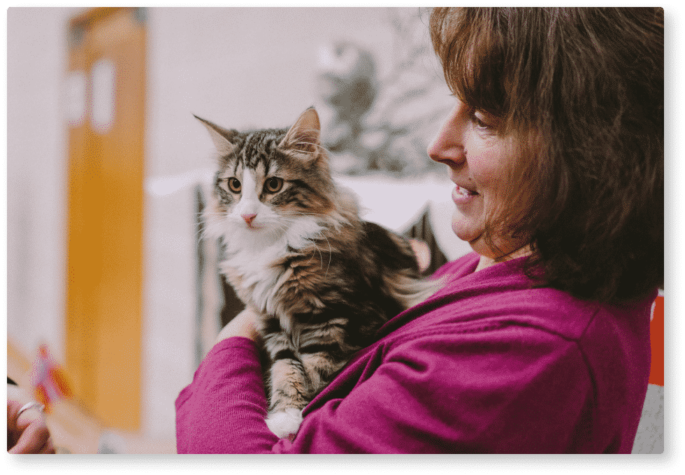 Le stress du chat - Chatterie Sainte Cyle - Hôtels pour chat à Marseille et Aix en provence